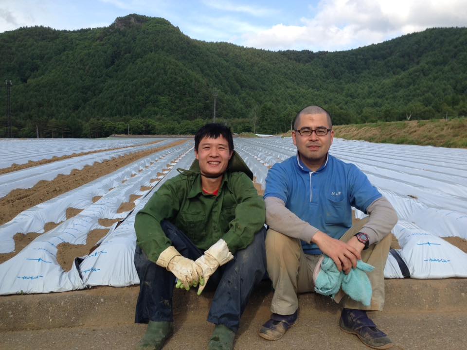 Thông báo tuyển sinh Chương trình thực tập nghề Nông nghiệp 7 tháng tại Nhật Bản năm 2017