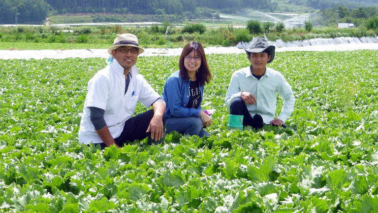 Thông báo tuyển sinh Chương trình thực tập nghề Nông nghiệp 1 năm tại Nhật Bản