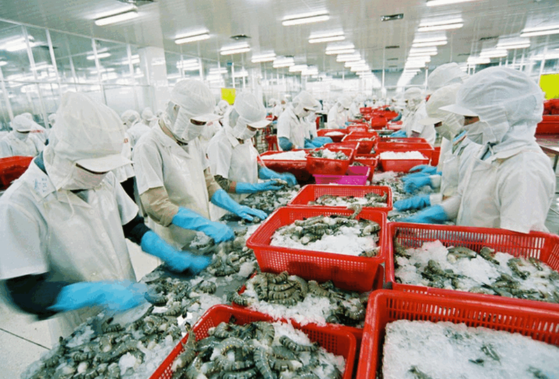 Tuyển sinh thực tập sinh đi làm việc tại Nhật Bản ngành nghề Chế biến thủy sản