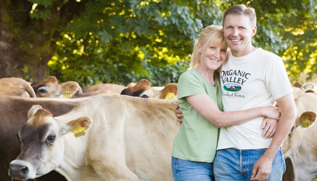 97% trang trại ở Mỹ là trang trại gia đình